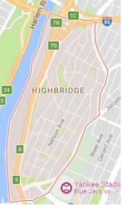 Highbridge Tree Service