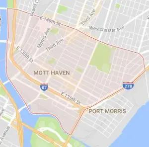 Mott Haven Tree Service