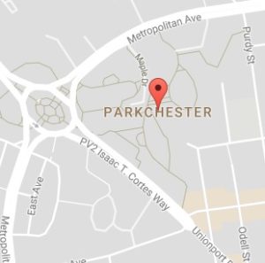 Parkchester Tree Service