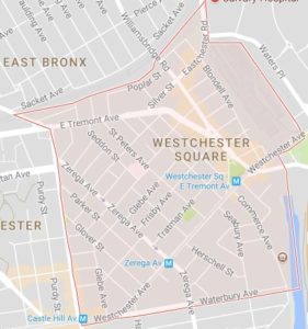 Westchester Square Tree Service