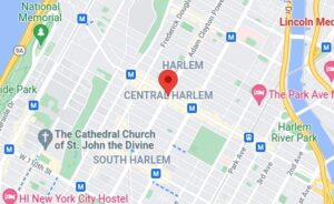Central Harlem Tree Service