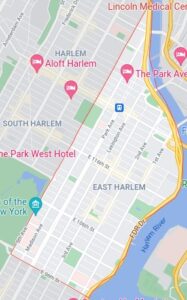 East Harlem Tree Service