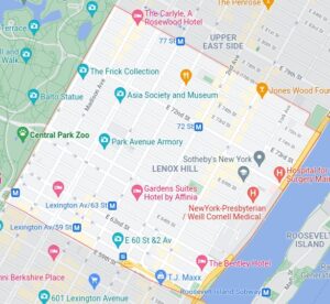 Lenox Hill Tree Service