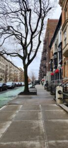 Discount Tree Cutting Manhattan