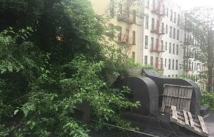 Discount Tree Removal Services in Manhattan