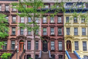 NYC Tree Cutting Services