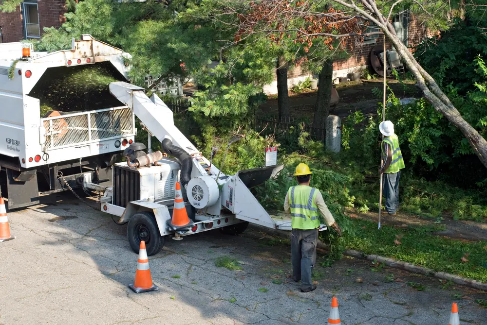 Commercial Tree Care 