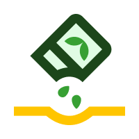 Tree Assessments