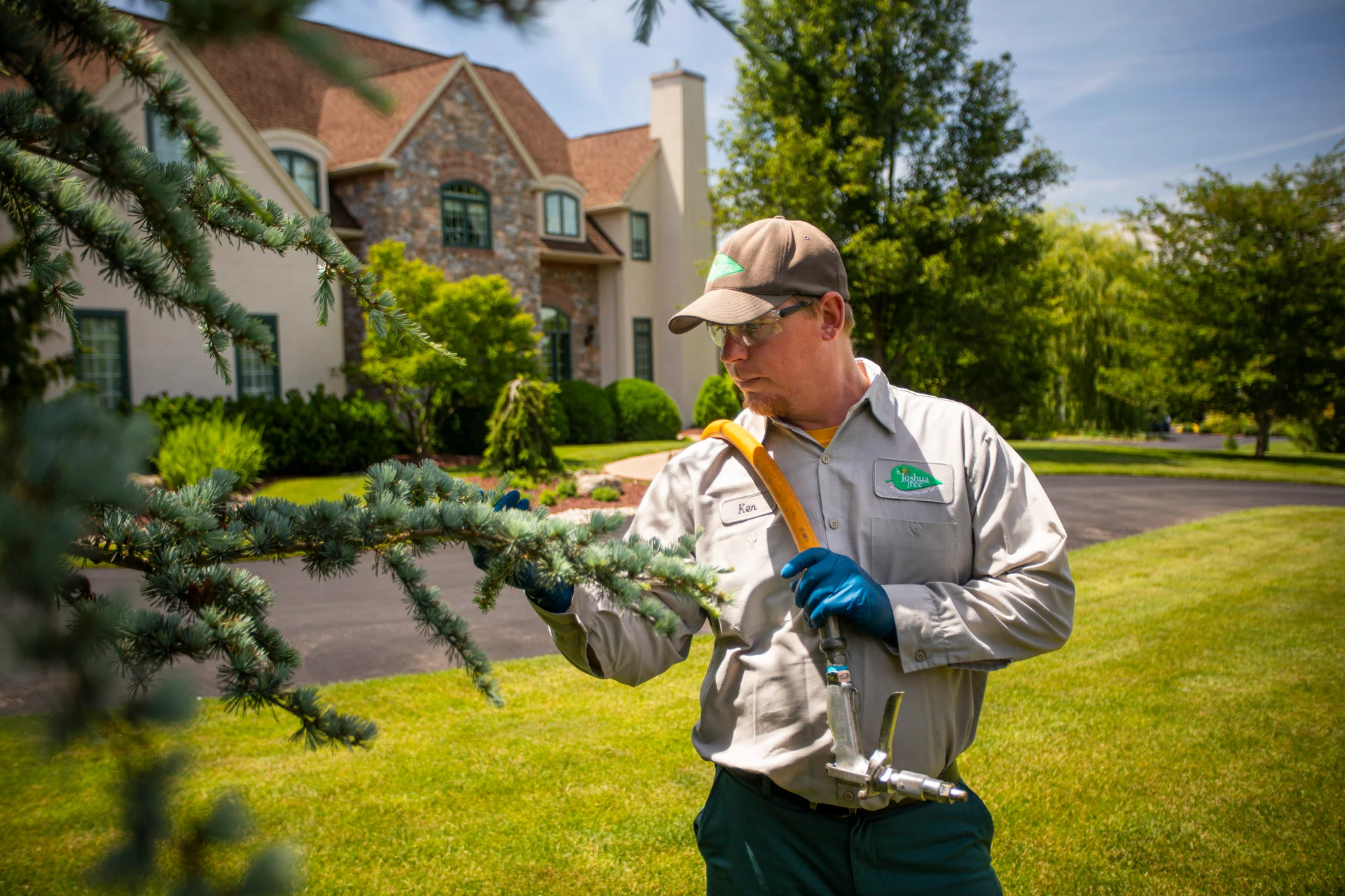 Regular Tree Inspections